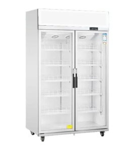Double Glass Door Upright Display Fridge LC-1000FS