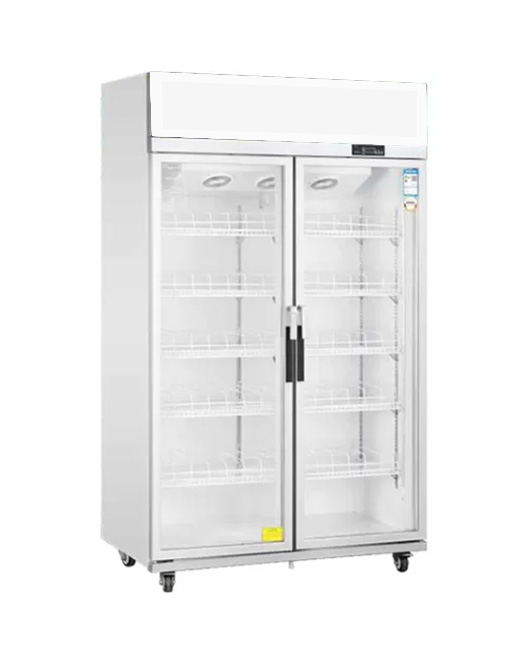Double Glass Door Upright Display Fridge LC-1200FS